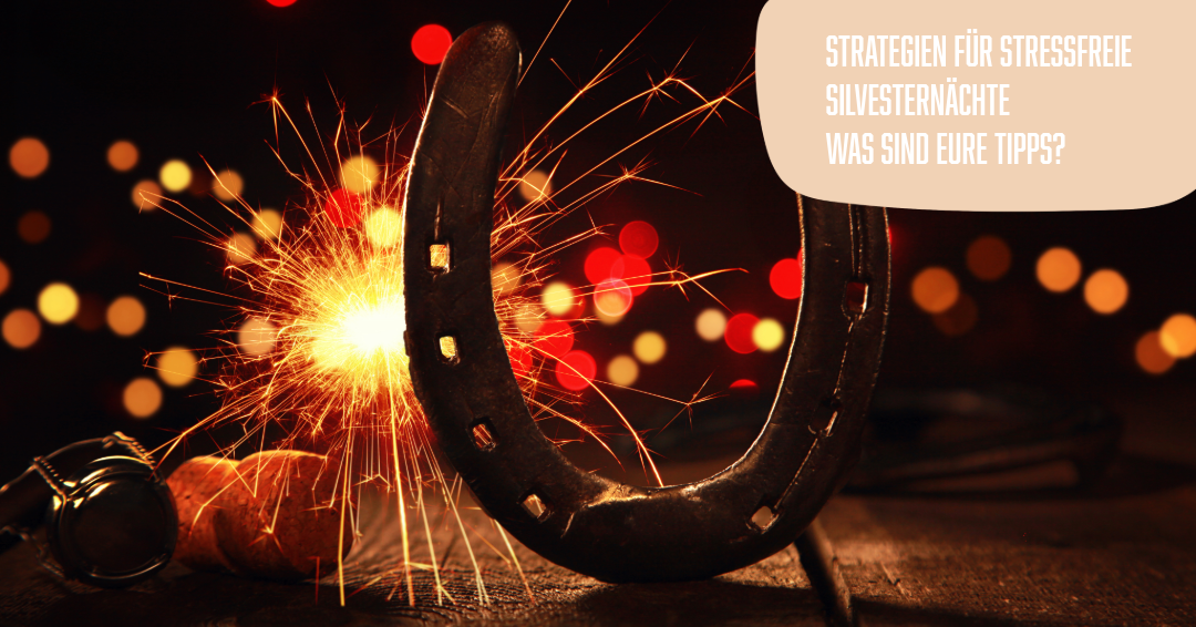 Strategien für stressfreie Silvesternächte