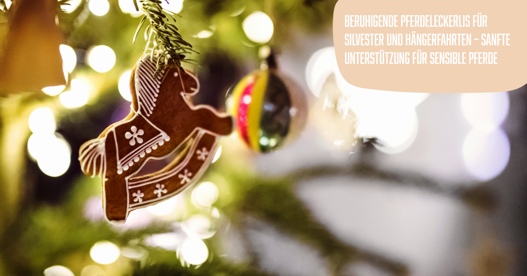 Beruhigende Pferdeleckerlis für Silvester und Hängerfahrten – sanfte Unterstützung für sensible Pferde