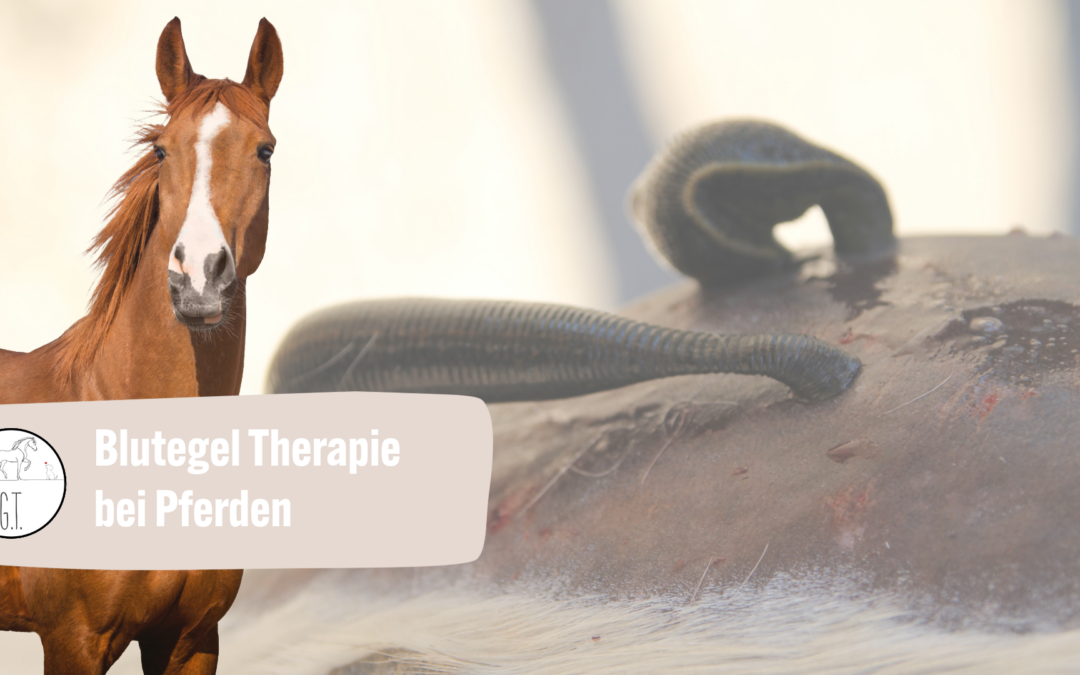Biologische Entzündungsregulation zwischen Tradition und moderner Sportorthopädie